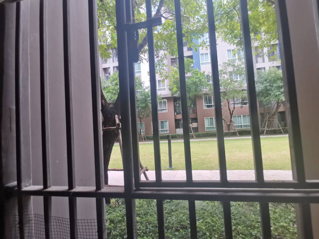 picture dcondo Campus Resort Bangna for rent the best price. - 11/17
