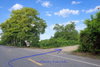 listing thumbnail image 15