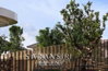 listing thumbnail image 10