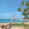 listing thumbnail image 15