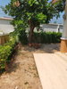 listing thumbnail image 21