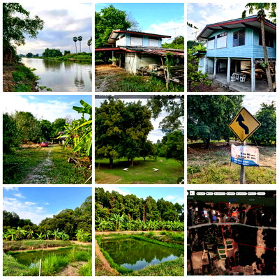 Land for sale Muang Uthai Thani Uthai Thani : Land for sale in Uthai Thani Province.