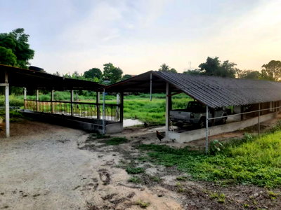 ที่ดิน ปากช่อง โคราช : ขายที่ดินโซนปากช่อง–เขาใหญ่ 2 ไร่ เจ้าของขายเอง ต่อรองได้