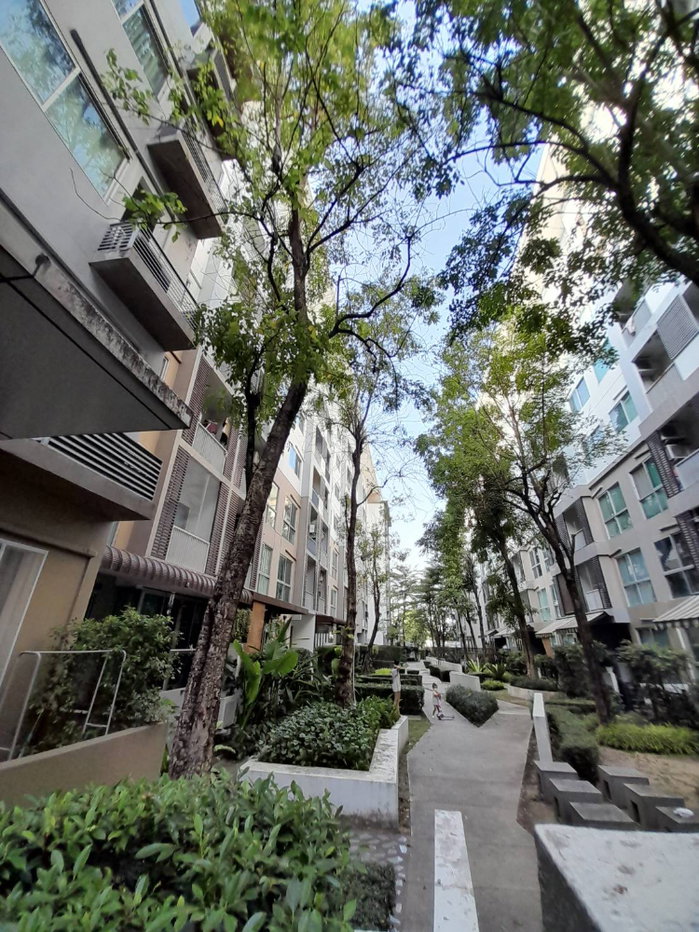 รูป ❤️‍🔥 ราคาพิเศษ ❤️‍🔥 A Space Sukhumvit 77  ห้องใหญ่ ขนาด 35.47 ตร.ม วิวสวน ระเบียงกว้าง ใกล้รถไฟฟ้าเดินทางสะดวก มีรถรับส่งถึงBTS อ่อนนุช ของกินเพียบ✅  - รูปที่ 17/20