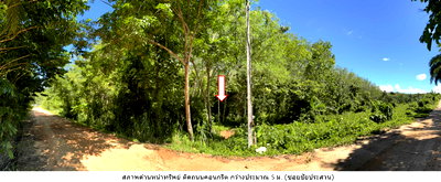 Land for sale Thalang Phuket : Land for sale @baanlamsai phuket