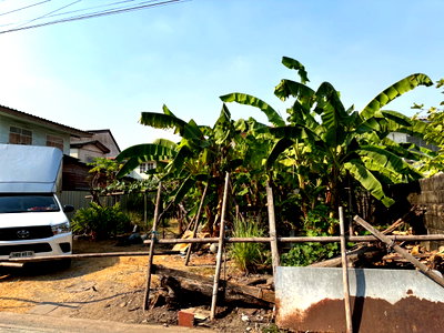 ที่ดิน รร.สายอักษร : ขายที่ดินปลูกบ้าน ใกล้รถไฟฟ้า รามอินทรา กม 4  เลียบด่วนราม
