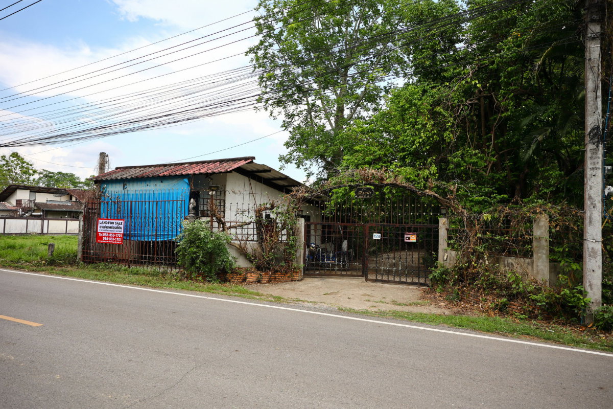 รูป ขายบ้านพร้อมที่ดิน ใกล้ ม.แม่โจ้ 📍 ต.ป่าไผ่ อ.สันทราย จ.เชียงใหม่ ติดถนนสาย 4034 - รูปที่ 11/19