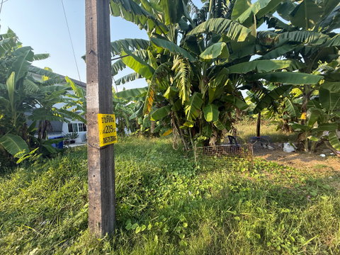 ขายที่ดินถมแล้ว ใกล้บึงหนองบอน สวนหลวง ร.9