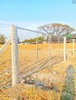 listing thumbnail image 5