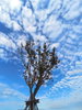 listing thumbnail image 62