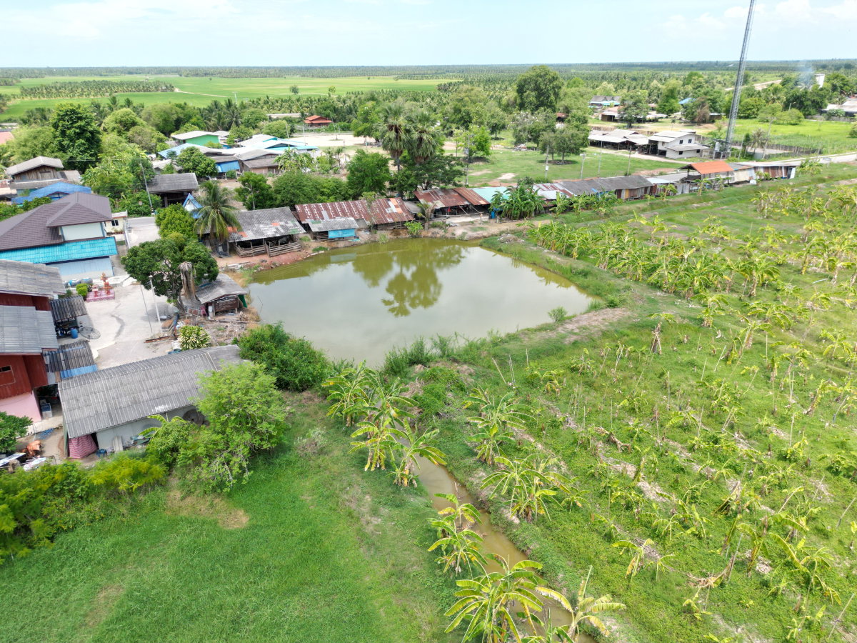 รูป ขายที่ดิน บ่อกระดาน ปากท่อ ราชบุรี แปลงสวยสุดๆ ทำเลดีสุดๆ ราคาดีที่สุด ขนาด 13 ไร่ 2 งาน 64.8 ตรว. (5,464.8 ตรว.) - รูปที่ 23/44