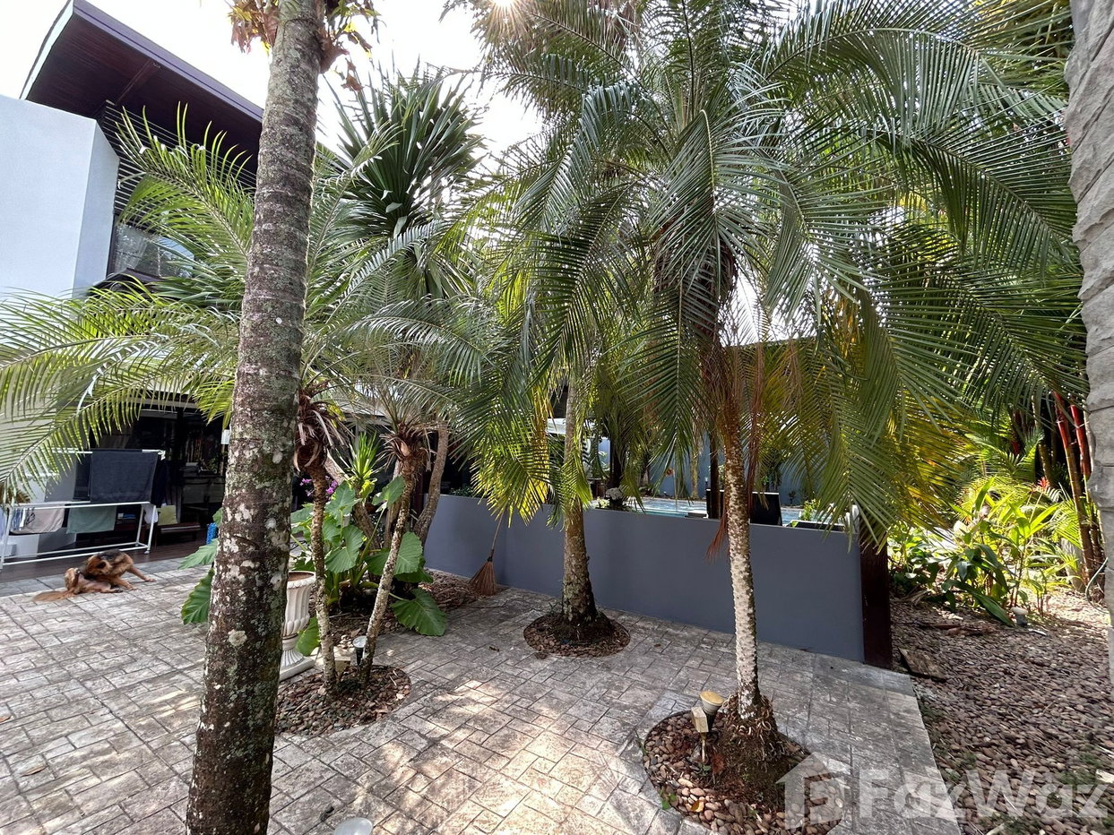 picture 4 Bedroom Villa for sale in Kathu, Phuket  1974933 - 30/40