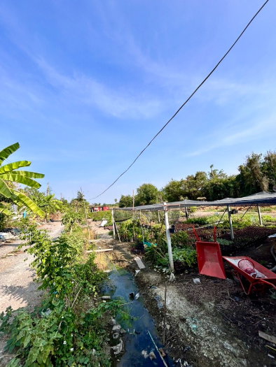 รูป ขายที่ดิน หลังโรงถ่ายกันตนา อ.บางใหญ่ จ.นนทบุรี - รูปที่ 3/9