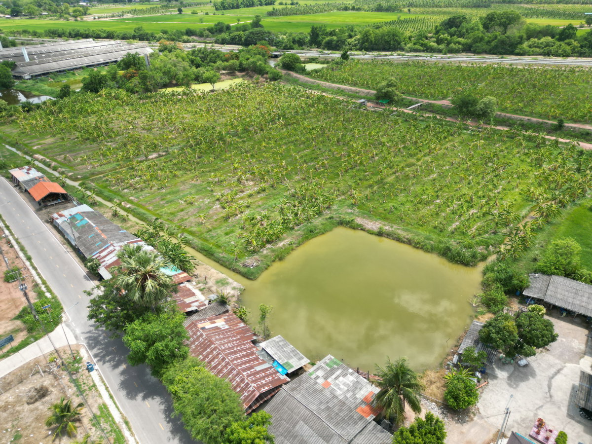 รูป ขายที่ดิน บ่อกระดาน ปากท่อ ราชบุรี แปลงสวยสุดๆ ทำเลดีสุดๆ ราคาดีที่สุด ขนาด 13 ไร่ 2 งาน 64.8 ตรว. (5,464.8 ตรว.) - รูปที่ 21/44