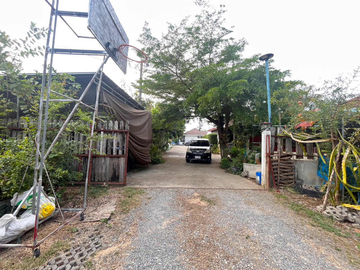 รูป 🔥  ขายที่ดิน แถมบ้าน** ทำเลทองติดกาดฝรั่ง หางดง  โครงการธารดง  - รูปที่ 32/32