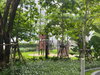 listing thumbnail image 20