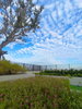 listing thumbnail image 61