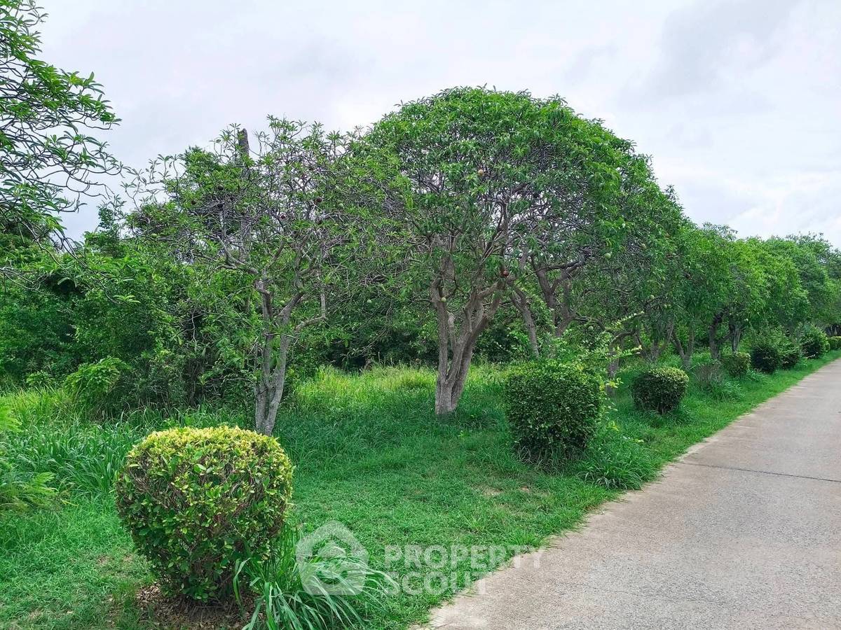 รูป ที่ดินสำหรับปล่อยขาย 6,096 ตารางเมตร แถว ใกล้ พัทยาตะวันออก (ID 2954826) - รูปที่ 6/10
