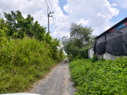 ขายที่ดิน 5ไร่ คลอง5 ธัญบุรี ปทุมธานี ซอยคลอง5 ตะวันตก44 ติดกับหมู่บ้านทัศนี เยื้องสนามกอล์ฟAlpine 