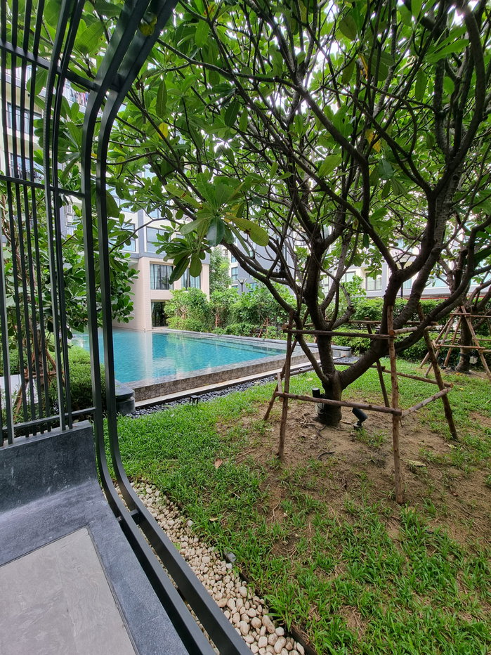 รูป คอนโดเลี้ยงสัตว์ได้ให้เช่า อาโล่ ลาซาล 17 1Bed Plus 34 ตรม.  - รูปที่ 45/59