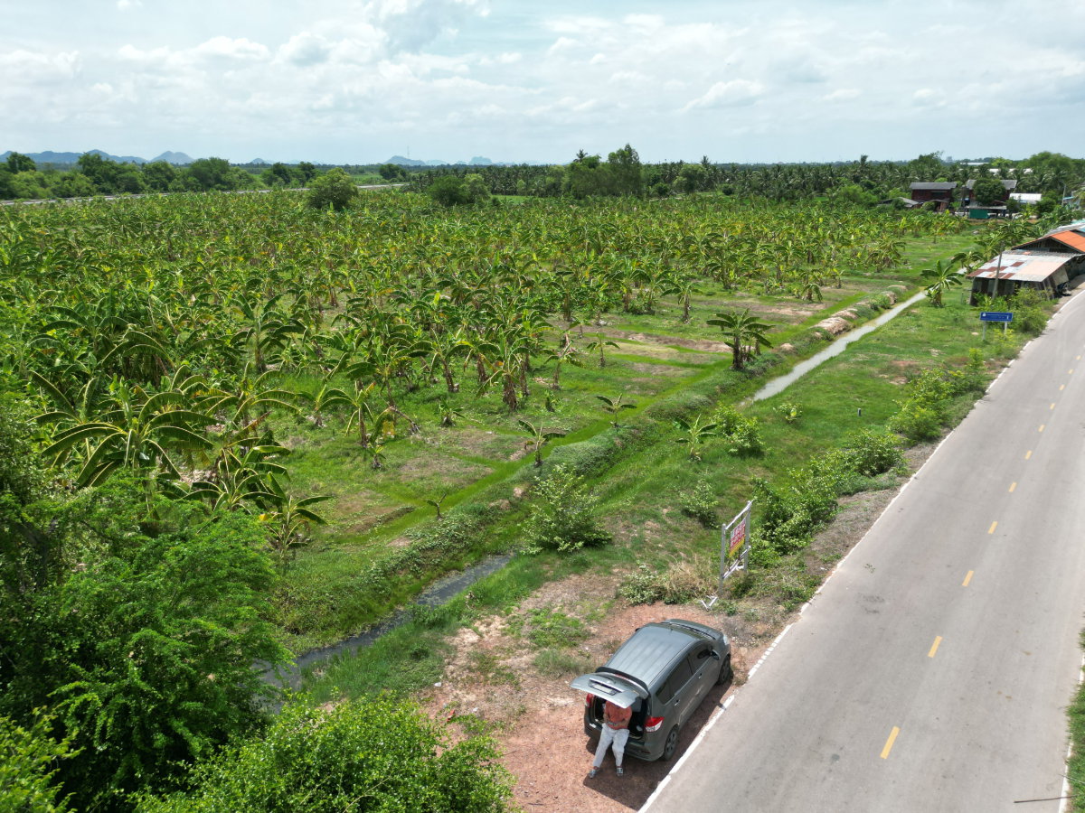 รูป ขายที่ดิน บ่อกระดาน ปากท่อ ราชบุรี แปลงสวยสุดๆ ทำเลดีสุดๆ ราคาดีที่สุด ขนาด 13 ไร่ 2 งาน 64.8 ตรว. (5,464.8 ตรว.) - รูปที่ 17/44
