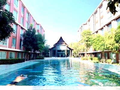 Condos for rent 700 Year Sports Arena Chiang Mai : P55 D Vieng Santitham Condo for Rent – Chiang Mai  