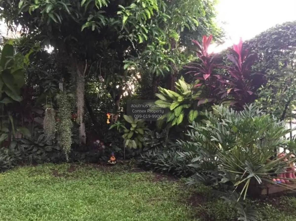 รูป ขายบ้าน  สราญสิริ ราชพฤกษ์ - แจ้งวัฒนะ บางพลับ ปากเกร็ด นนทบุรี CX-119616 ✅ ทักไลน์ @connexproperty ตอบทันที ทีมงานมืออาชีพ ✅ - รูปที่ 6/7