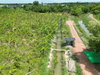 listing thumbnail image 25