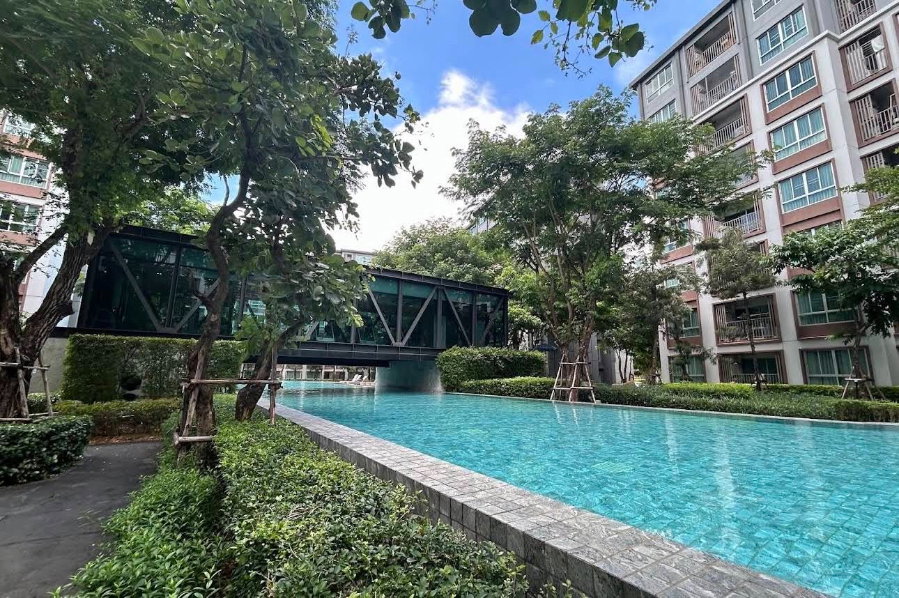 รูป 🌅🏢 ขาย D Condo Ping ห้องวิวสระ วิวสวน ทำเลทองติดเซ็นทรัลเฟสเชียงใหม่ ✨ - รูปที่ 13/13