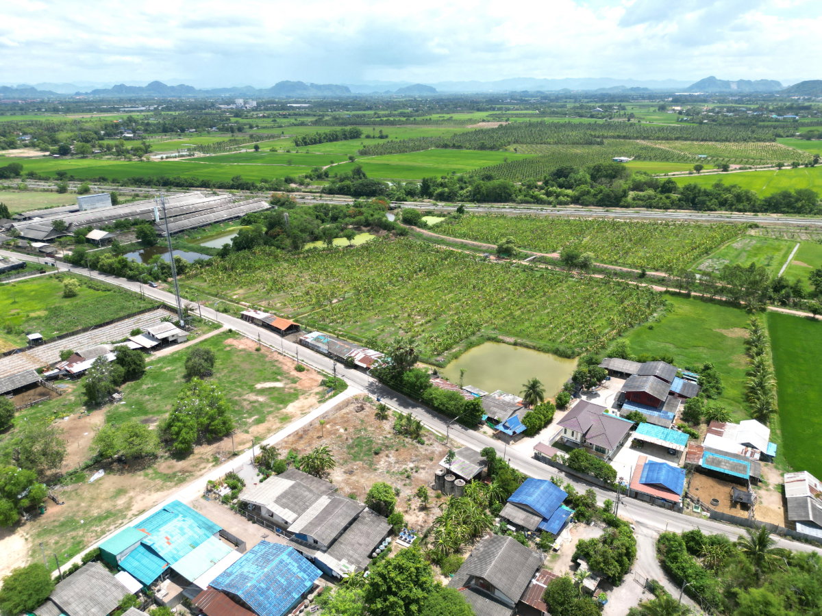 รูป ขายที่ดิน บ่อกระดาน ปากท่อ ราชบุรี แปลงสวยสุดๆ ทำเลดีสุดๆ ราคาดีที่สุด ขนาด 13 ไร่ 2 งาน 64.8 ตรว. (5,464.8 ตรว.) - รูปที่ 5/44
