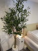 listing thumbnail image 27