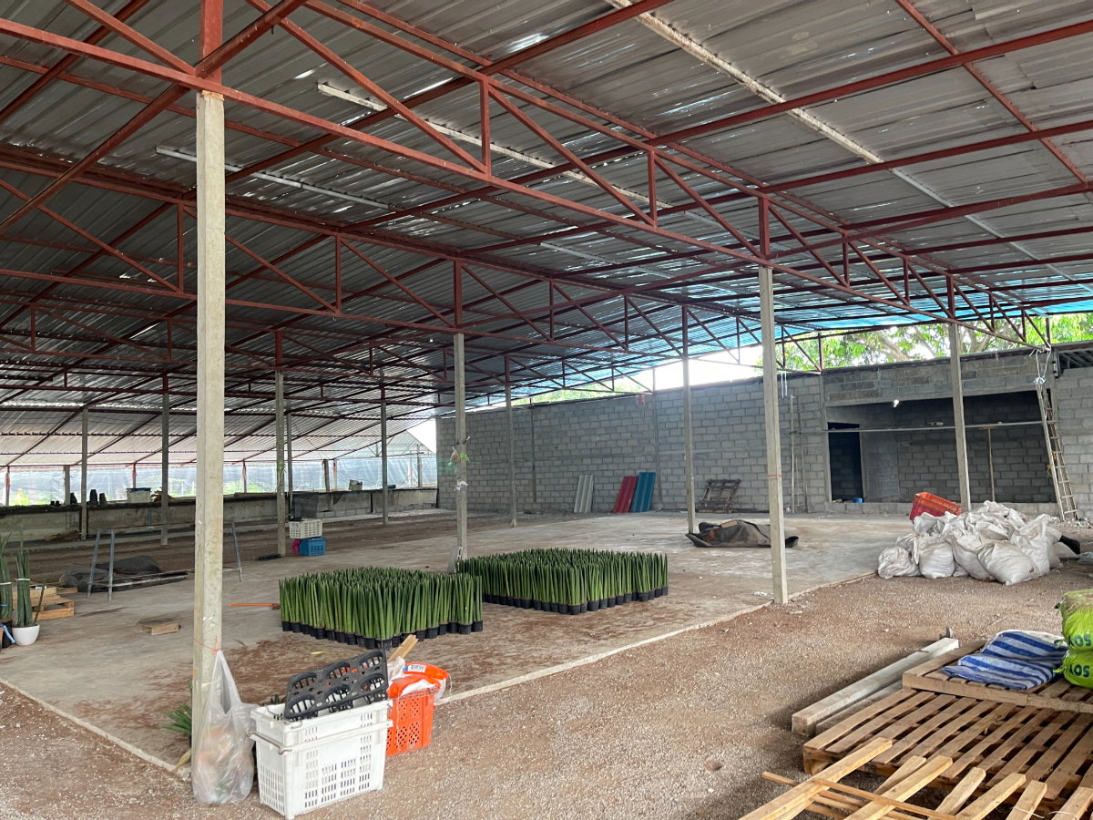 รูป ขายที่ดินสวย พร้อมสิ่งปลูกสร้าง โรงเรือน 9 ไร่ ต.บ้านใหม่ อ.ท่าม่วง จ.กาญจนบุรี - รูปที่ 8/8