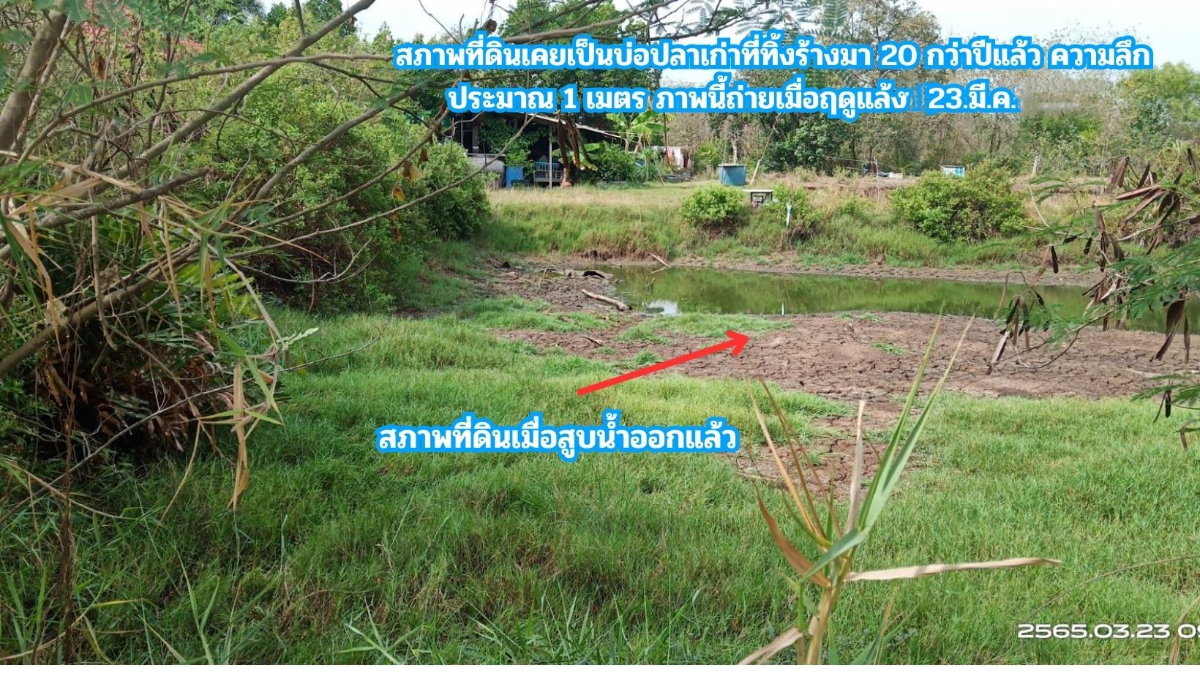 รูป ขายที่ดิน ติดคลอง 2 ไร่ ใกล้ถนนสิริโสธร หรือถนน 314 (บางปะกง-ฉะเชิงเทรา) ต.สนามจันทร์ อ.บ้านโพธิ์ จ.ฉะเชิงเทรา - รูปที่ 3/6