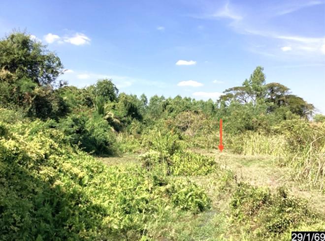 picture LAND 3170 Sq.w. Chum Phuang Nakhon Ratchasima for 5.5M - 3/16