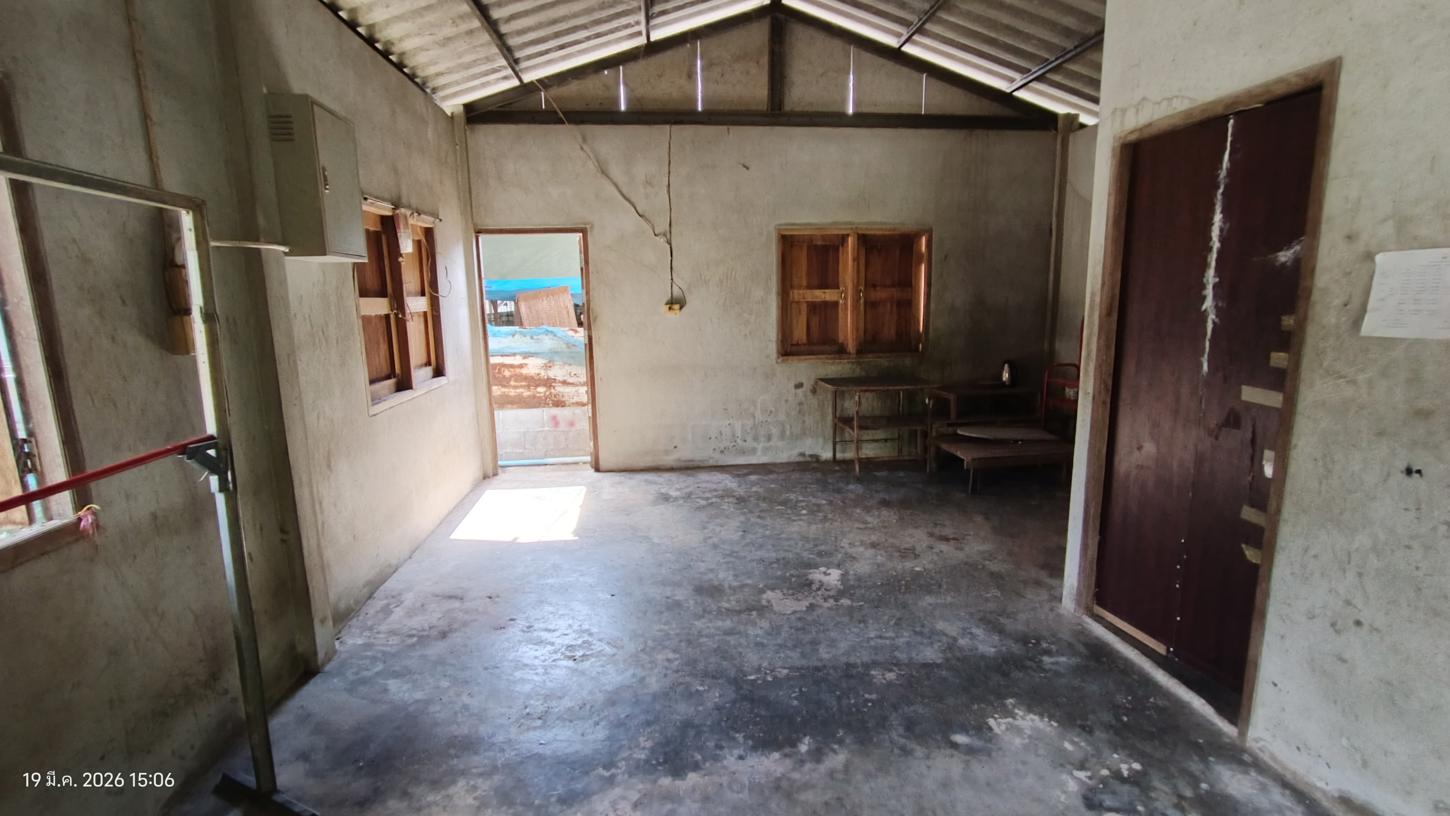 picture LAND 1603 Sq.w. Muang Phatthalung Phatthalung for 5.7M - 21/42
