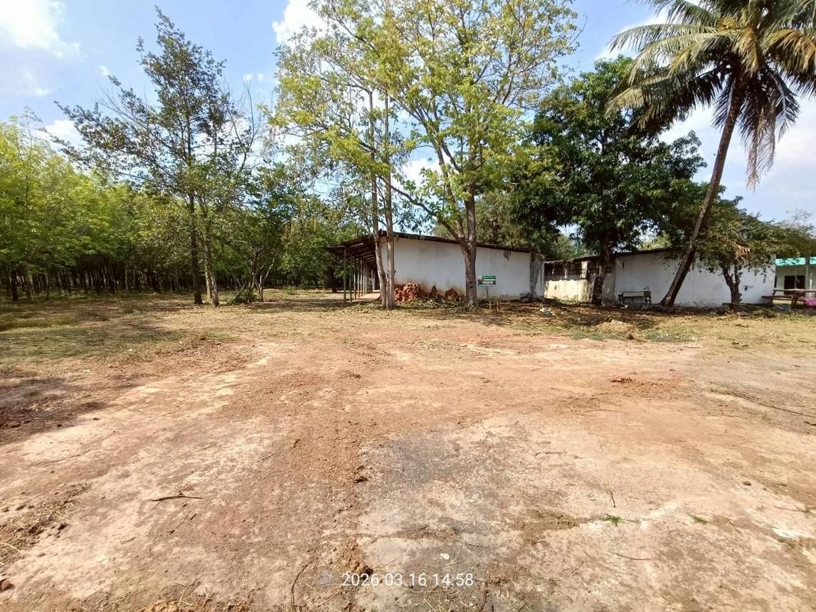 picture HOME 1200 Sq.w. Na Di Prachinburi for 6.1M - 21/44