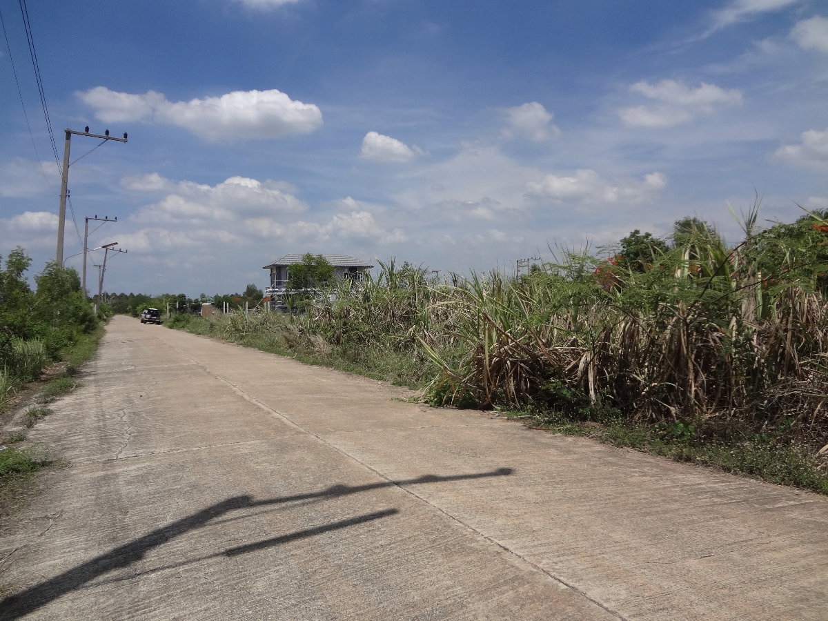 รูป ที่ดินคลองหลวงคลองสี่-คลองแอน ซ.เพชรสมหวัง(คลองสี่ต.ต.26)พื้นที่200ตารางวาแปลงสวยสาธารณูปโภคครบ ใก้ลสนง.ขนส่ง,แม็คโคร,โลตัส,ตลาดไท เหมาะปลูกบ้าน/โกดัง - รูปที่ 2/8