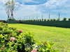 listing thumbnail image 12