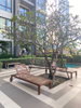 listing thumbnail image 34