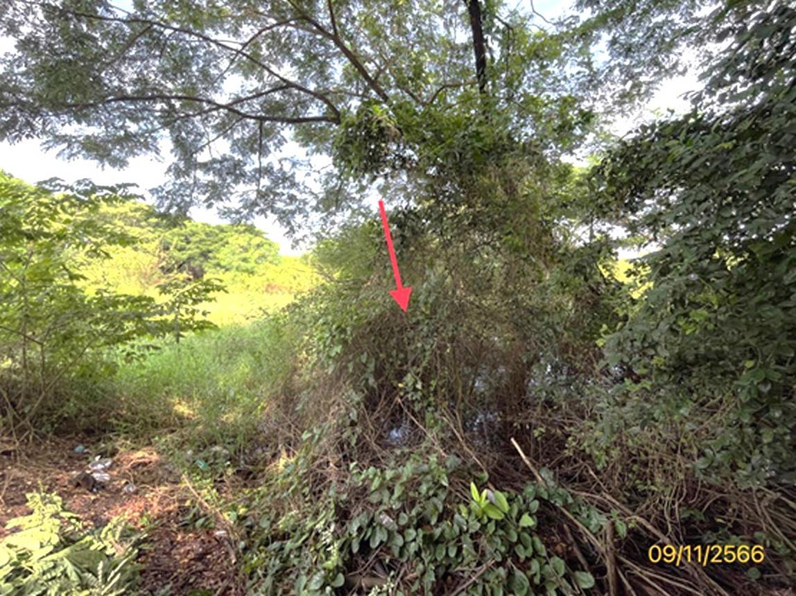 picture LAND 96 Sq.w. Muang Ratchaburi Ratchburi for 1.2M - 10/16