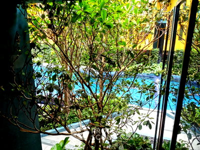 Condos for rent : 1-BR Condo at The Base Sukhumvit 50 near BTS On Nut (ID 298113)