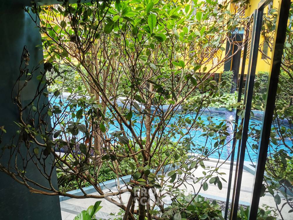 picture 1-BR Condo at The Base Sukhumvit 50 near BTS On Nut (ID 298113) - 1/4