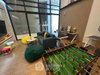 listing thumbnail image 25
