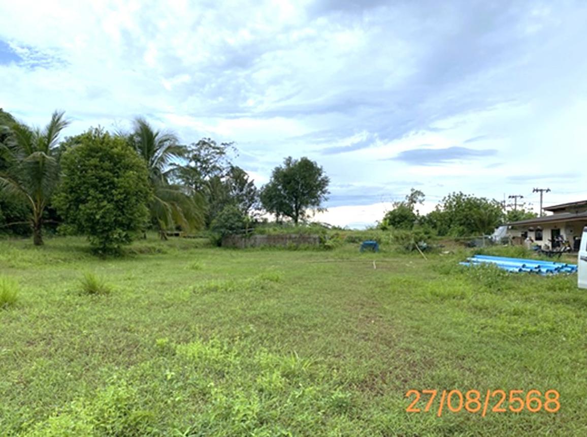 picture FACTORY 4400 Sq.w. Thai Muang Phangnga for 18.5M - 24/30