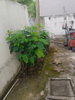 listing thumbnail image 19