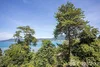 listing thumbnail image 34
