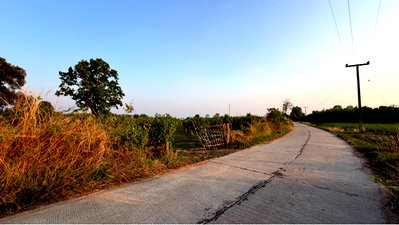 ที่ดิน หนองกุงศรี กาฬสินธุ์ : ที่ดินติดถนนบ้านหนองริวหนัง-บ้านหนองไผ่(กส.3121) ตำบลเสาเล้า อำเภอหนองกุงศรี จังหวัดกาฬสินธุ์