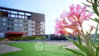listing thumbnail image 17