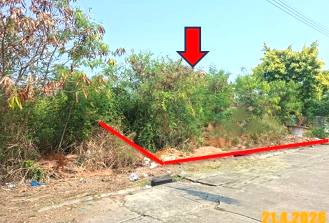 picture LAND 125 Sq.w. Muang Samut Sakhon Samut Sakhon for 1.6M - 4/14