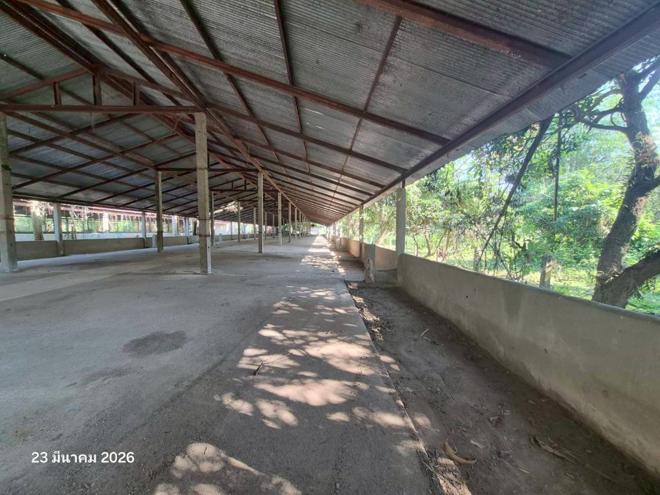 picture FACTORY 4023 Sq.w. Wiang Chai Chiang Rai for 4.5M - 6/34